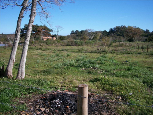 Imagem 11 de 30 de Sítio Rural À Venda, Lami, Porto Alegre. - Si0006