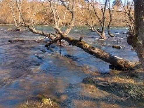 Imagen 3 de 14 de Lote Único Con 41 Metros De Costa De Río Quilquihue