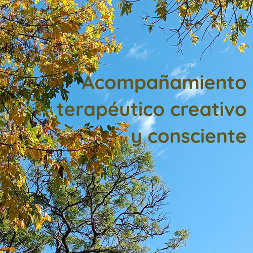 Acompañamiento Terapéutico Creativo Y Consciente