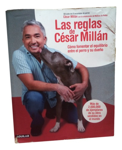 Las Reglas De Cesar Millan Encantador De Perros