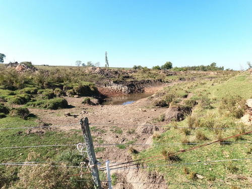 Chacra De 7 Hás Con Vivienda, Galpón Y Mejoras En Ruta 12 Km 91