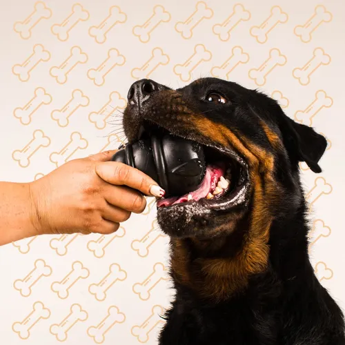 Juguete canino new arrivals