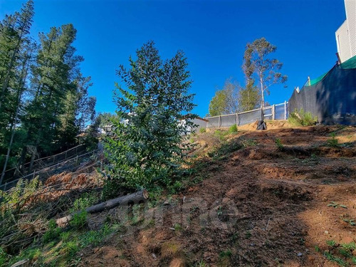 Imagen 8 de 30 de Terreno En Venta En Curauma