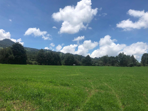 Imagen 11 de 13 de Gran Oportunidad Terreno Arenal Para Rancho