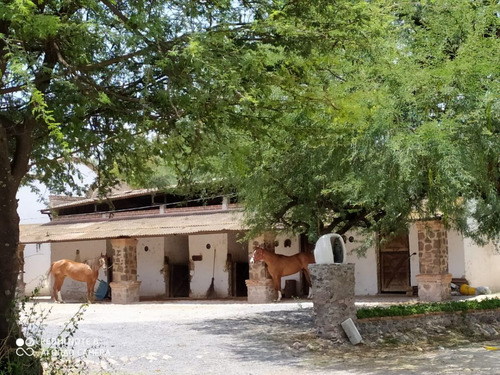 Terreno En Venta Rancho La Pitaya Apaseo El Grande Gto