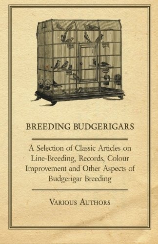 Breeding Budgerigars  A Selection Of Classic Articles On Lin