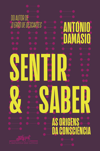Sentir e saber: As origens da consciência, de Damásio, António. Editora Schwarcz SA, capa mole em português, 2022