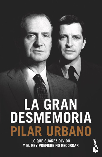 La Gran Desmemoria (libro Original)