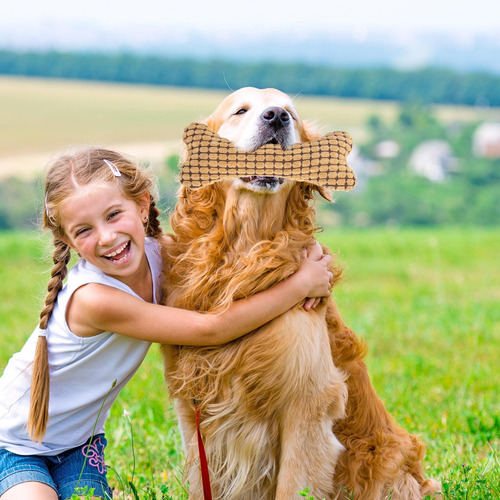Juguete De Peluche Para Perros Chirriantes Juguetes De Peluc