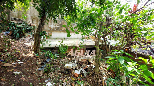 Imagem 3 de 3 de Terreno À Venda, 168 M² Por R$ 350.000,00 - Vila Guarani - Santo André/sp - Te0369