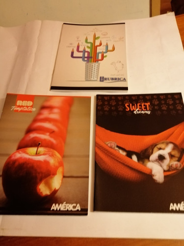 Cuadernos .doble Raya,cuadriculados. X 2