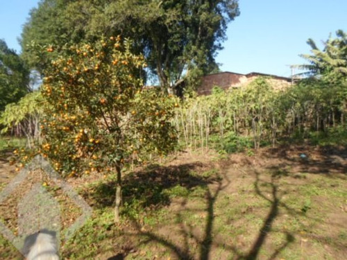 Imagem 6 de 9 de Chacara/fazenda/sitio - Olaria - Ref: 93176 - V-93176