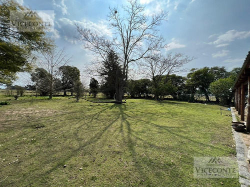 Imagen 15 de 29 de Campo - General Mansilla