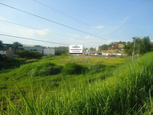Imagem 8 de 9 de Terreno Residencial À Venda, Parque Rincão, Cotia - . - Te0179