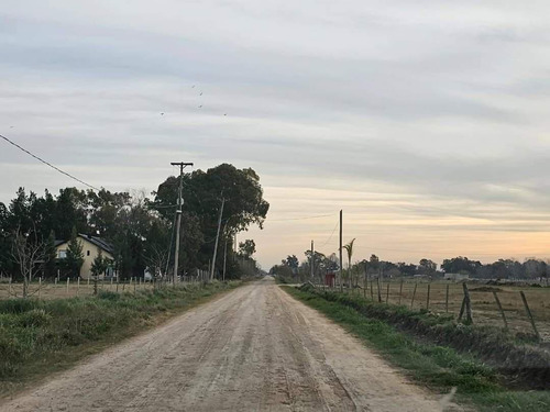 Terreno En Venta En San Vicente