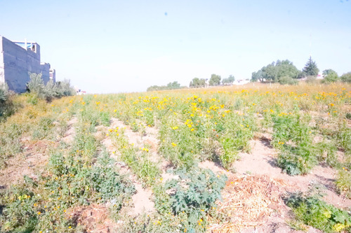 Terreno En Renta Varios Giros En Chimalhuacan.