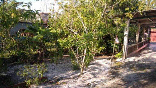 Imagem 9 de 14 de Casa Localizada No Litoral Ref 5795dz