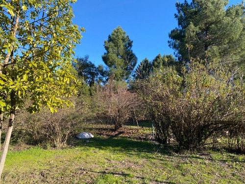 Parcela De 1 Há Y Casa De Campo