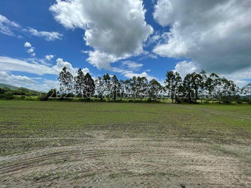 Carlos Colmenarez Felx 23-33543 Vende Finca Con 10 Hectareas Y 4.642 Mts Pozo Profundo De 80 Metros, Bomba De 14 Hp Luz Trifasica Laguna De 50 Por 40 Metros Cochinera De 30 Corrales