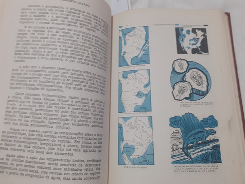 Enciclopédia Tesouro Cientifico Completa Ilustrada Excelente (Usado)