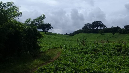 Imagen 5 de 12 de 20 Mzs Carretera Suburbana - Managua