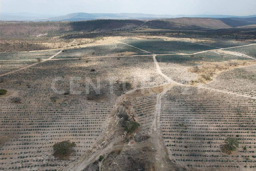 En Venta!!! Terreno Ubicado En Josefino De Allende, Jalisco.