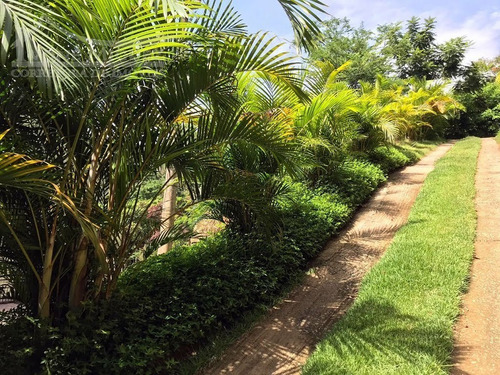 Imagem 2 de 15 de Casa Em Lagoinha - Miguel Pereira - 2554
