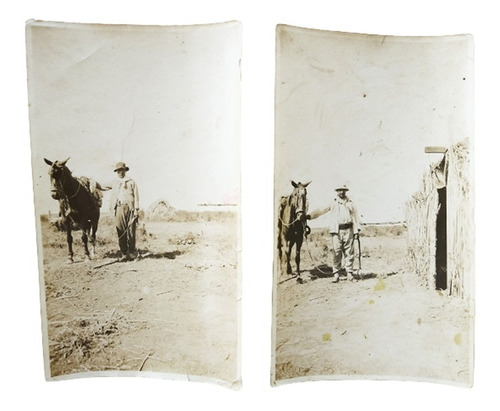 Serie Antigua De 2 Fotos De Gaucho Con Caballo - Circa 1920