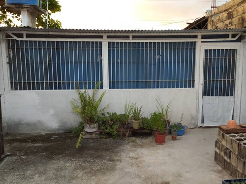 Imagen 7 de 9 de Palo Negro / Lisbeth García +584128676402