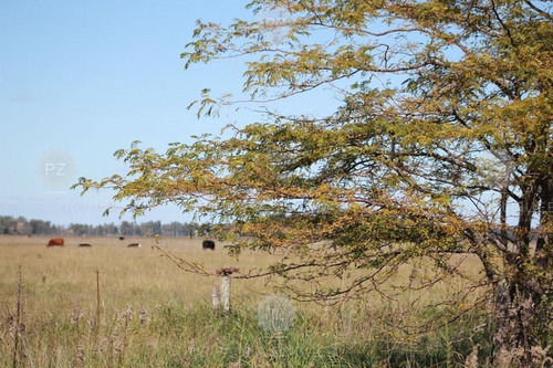 Imagen 15 de 20 de Terreno Emp. Rural En Venta Ubicado En San Vicente, G.b.a. Zona Sur
