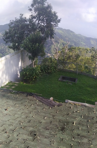 Imagen 14 de 14 de Venta Casa Quinta Cortada Del Guayabo- San José De Los Altos. Urb. Privada Peña Admirable.