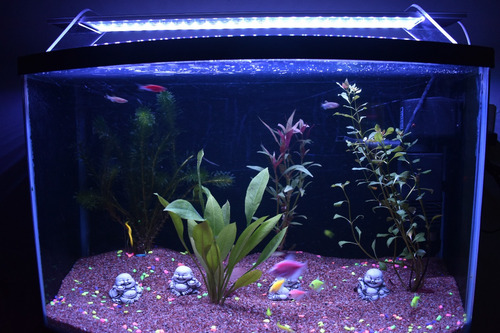 Lampara Led Rgb C/control P/acuario, Fuentes Etc 70cms. (Usado)