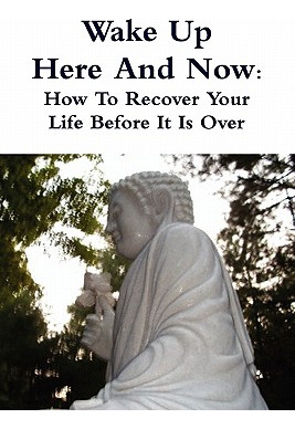 Libro Wake Up Here And Now: How To Recover Your Life Befo...