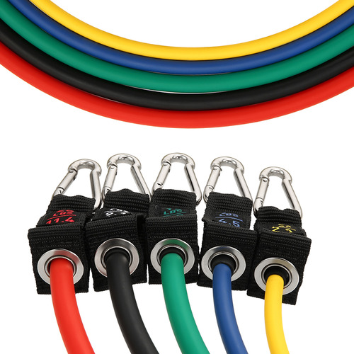 Banda Deportiva Para El Hogar, Asas, Correas, Tubo De Viaje