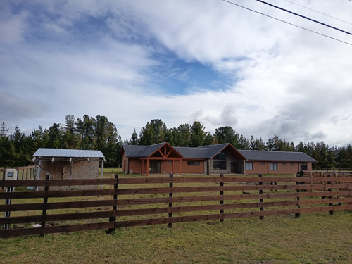 Arriendo Año Corrido Excepcional Casa C/parcela En Frutillar