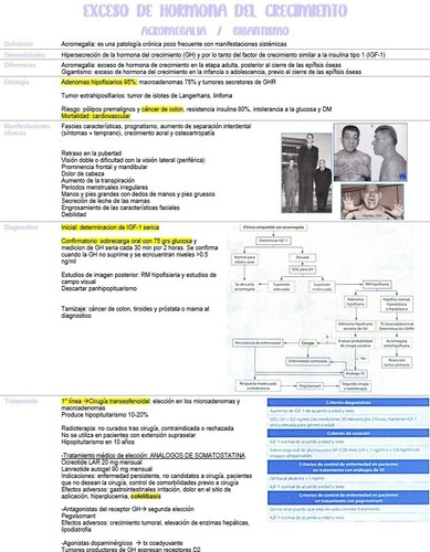 Resumenes Enarm Endocrinologia