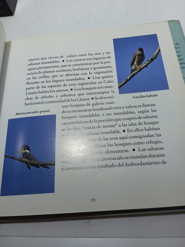 Imagen 4 de 5 de Aves Del Llano - Fauna Colombia - Ambiente Colombia