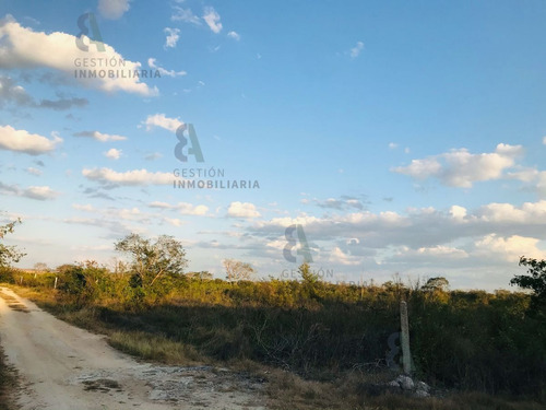 Imagen 8 de 9 de Terreno En Esquina En Venta En Komchen, Yucatán. Ctv124.
