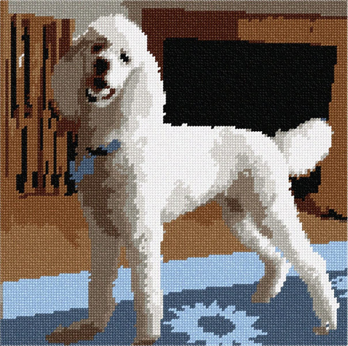 Lienzo Bordado Pepita: Cosmo Caniche Blanco 10 X 10  