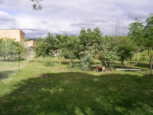 Imagem 15 de 15 de Chacara/fazenda/sitio - Restinga - Ref: 192994 - V-192994