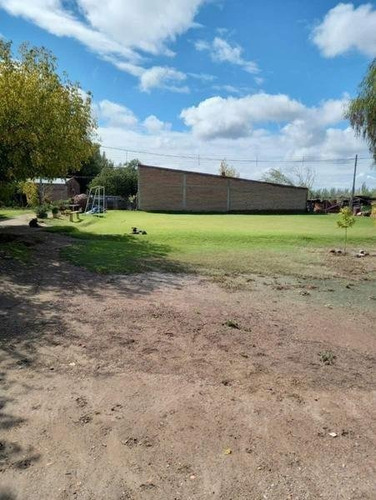Imagen 28 de 30 de 3 Fincas Con Bodega En Venta Cañada Seca.