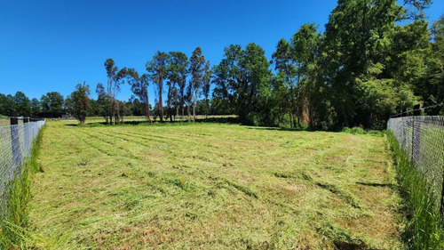 Parcela 5.011 M² A 10 Min De Valdivia Acceso Controlado