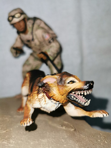 Air Force Security Forces K-9 Handler - Military Series 3 (Usado)