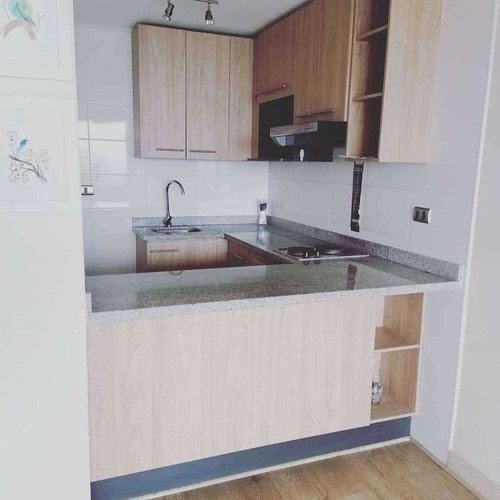 Se Arrienda Departamento En Centro Concepción (107084)