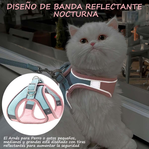 Pechera Para Perro O Gato Pequeño Mediano Grande Con Correa