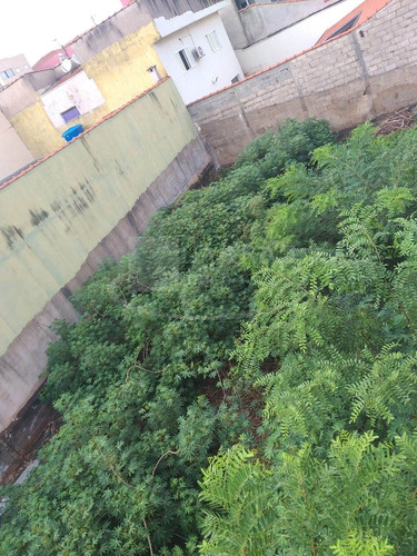 Oportunidade. Terreno Para Venda Na Vila Virginia / Jd Piratininga, Na Rangel Pestana, 300 M2, 10 M De Frente, Murado, Portao E Pronto Para Construir - Te00524 - 68899839