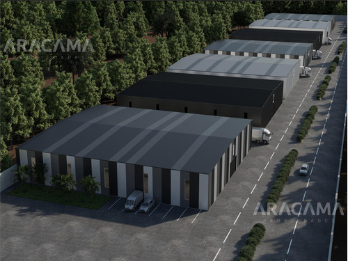 Imagen 4 de 19 de Deposito Logistico Sobre Ruta 17 - Añelo - Vaca Muerta