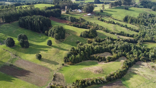 Imagen 5 de 16 de Campito De 7ha Mirador Del Mañio - Los Muermos