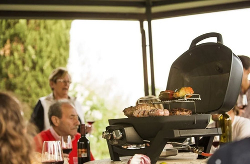 Parrilla Portatil Carbon Barbacoa Napoléon A Gas Kirkor