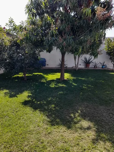 Casa En Venta En Real De Oaxtepec